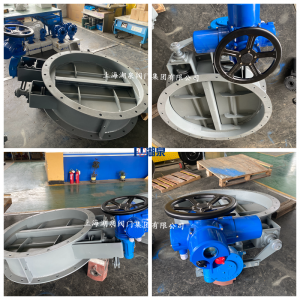 QT450電動(dòng)蝶閥執(zhí)行器QDX3-5帶減速渦輪